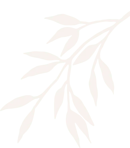 shape